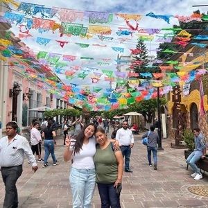 Meet your Posher, Stef